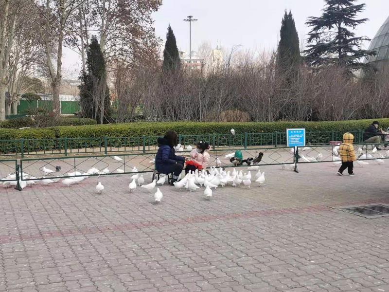 春节期间郑州市区去哪游玩？这个攻略也可收藏，大众公园和特色游玩地全乎了