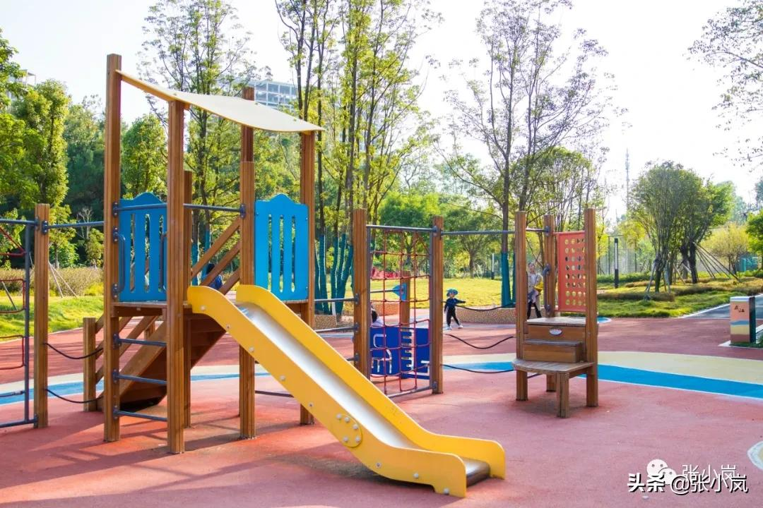 藏在韶关市中心森林里的儿童公园，大部分人都不知道，光速安排