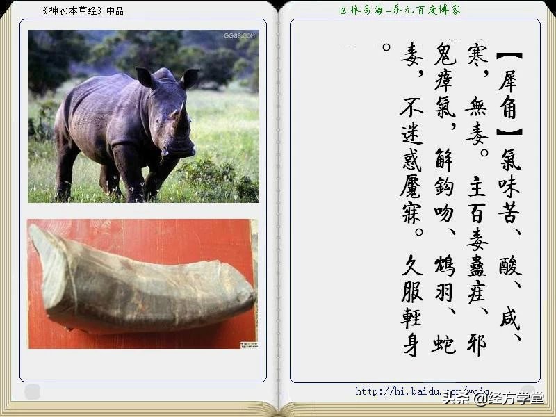 《神农本草经》全册图文解析 建议收藏