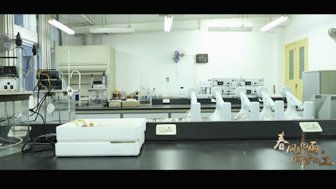 黄冈师范学院-大家好，我们是“变化的科学”