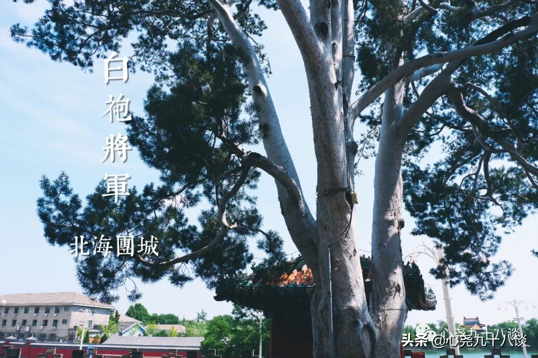 古代皇家园林仿蓬莱仙境，这里便是一池三山中的瀛洲 | 北海团城