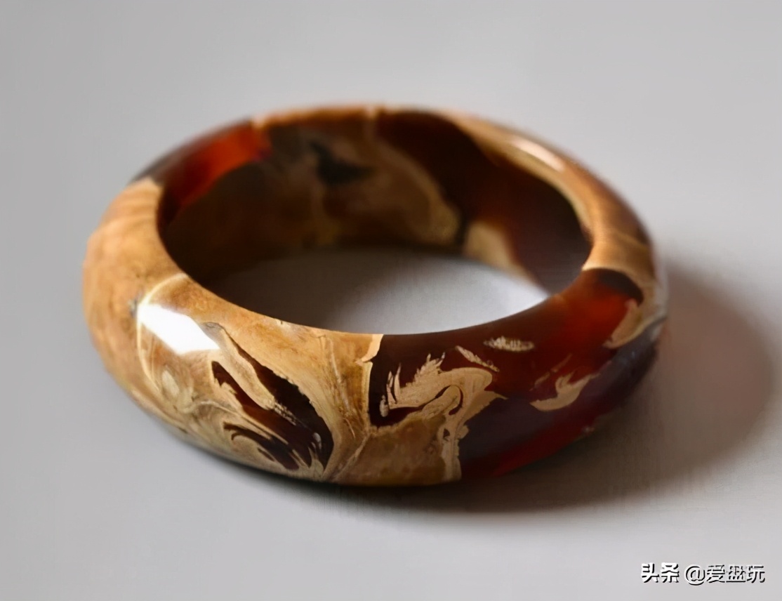 玳瑁价格多少钱一只(一种硬度很高的琥珀) - 价格百科