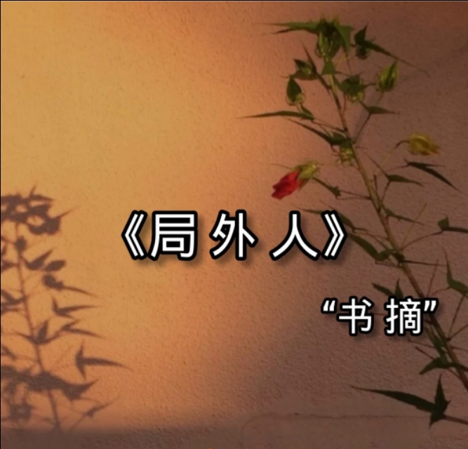 《局外人》经典语录：荒诞世界中的清醒者，用冷漠对抗虚无，以真实面对人生。