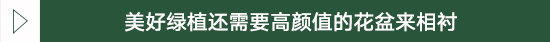 再土的房子也能变的时尚温馨