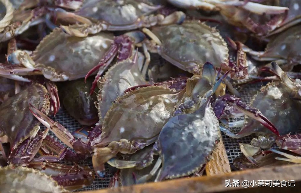 买梭子蟹，不是个大饱满就好，老渔民：认准3处，避开“空壳蟹”