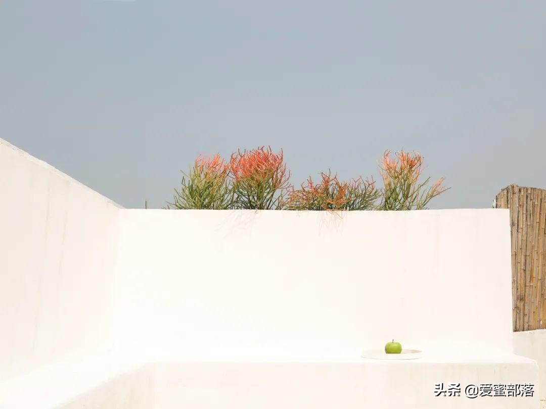 杭州摄影基地 | 插画师画室实景，出片文艺有气质