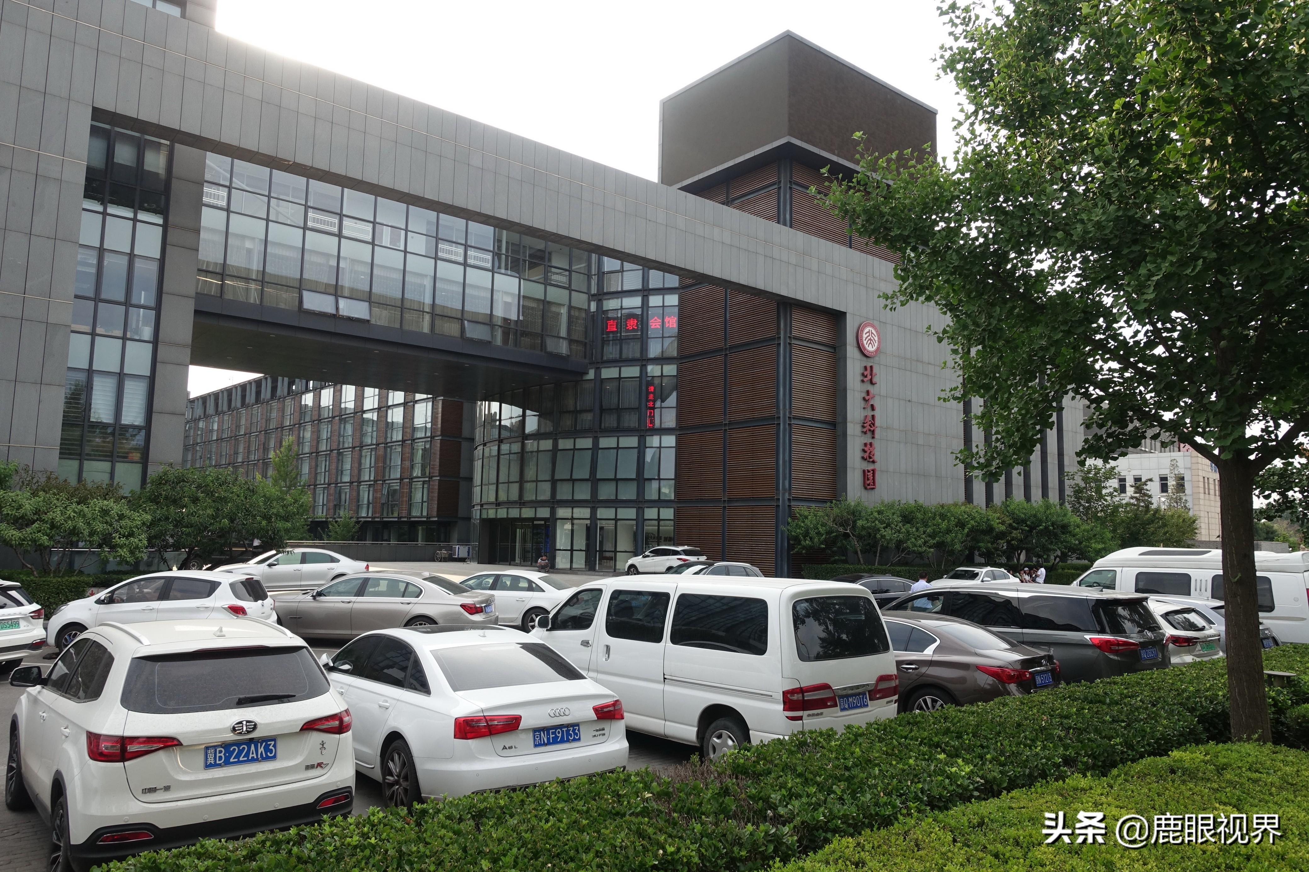 北大风光（二）北大的每一幢房屋都是标志性建筑