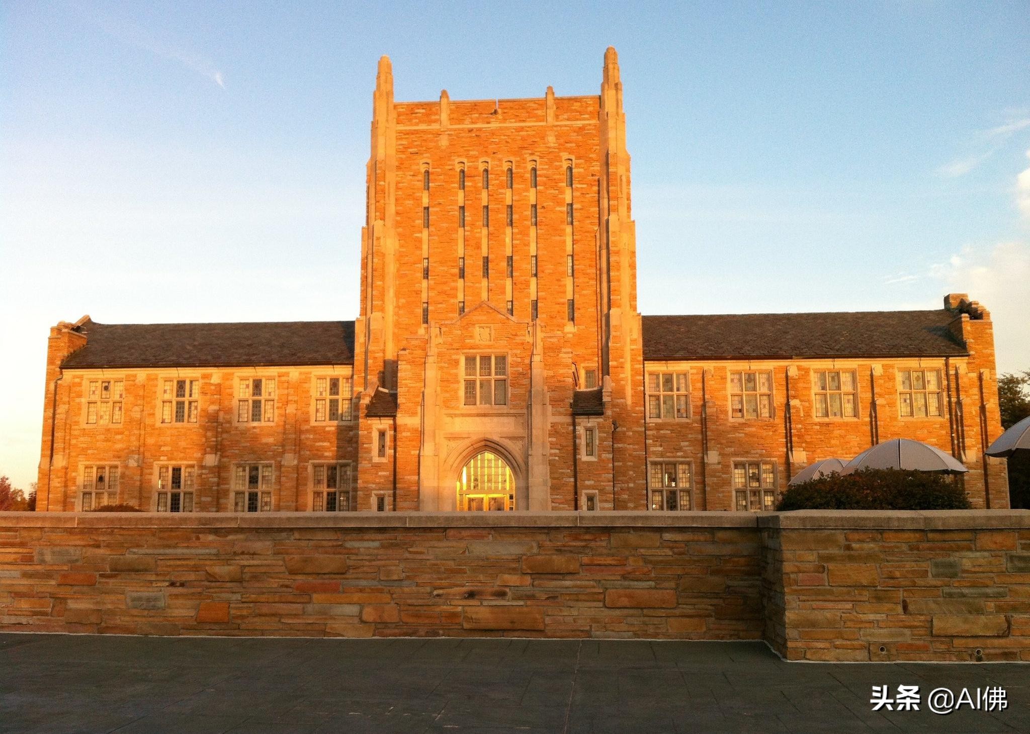 美国50所在大城市的最好大学