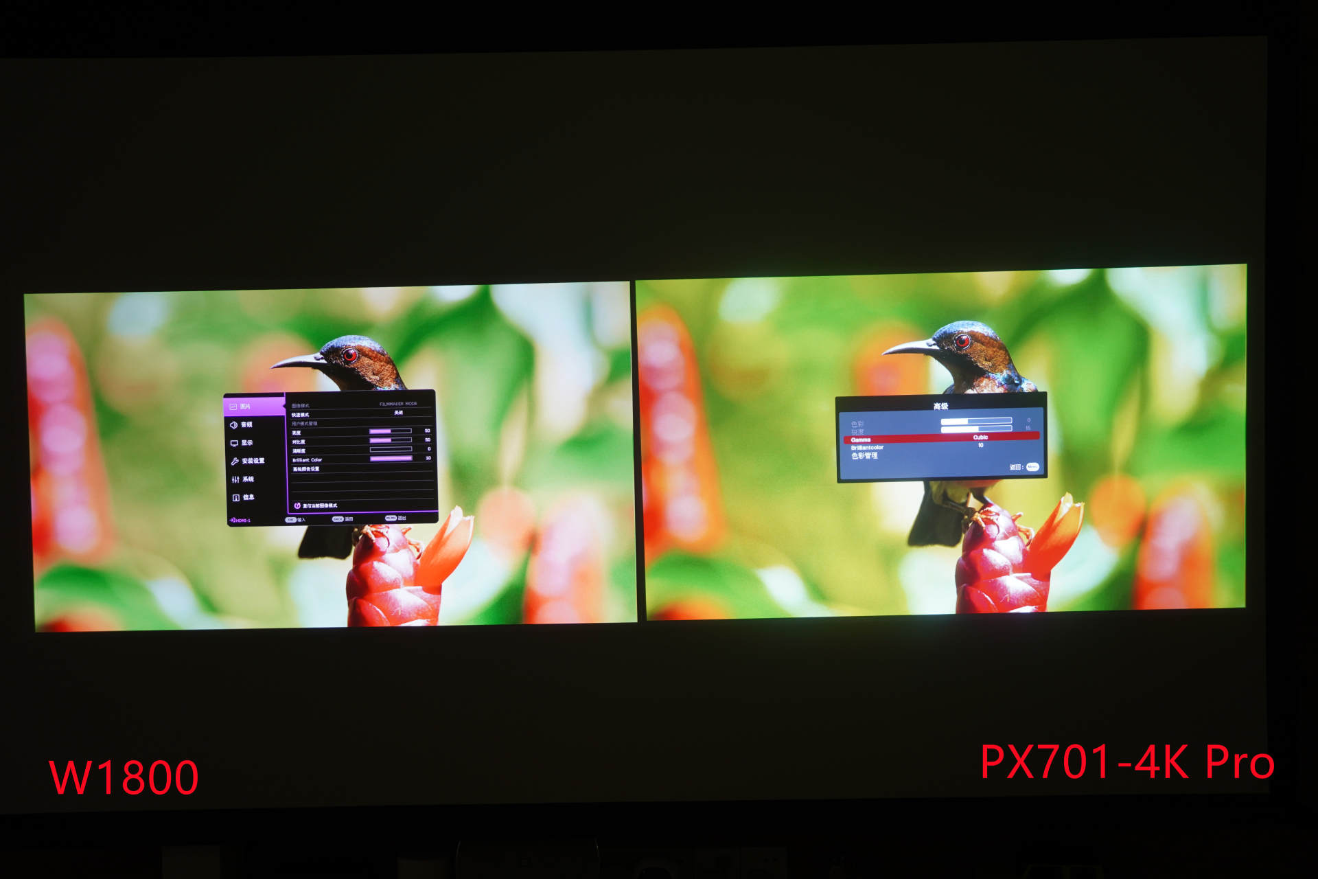 瑜亮之争，优派PX701-4K Pro和明基W1800谁的表现更出色？
