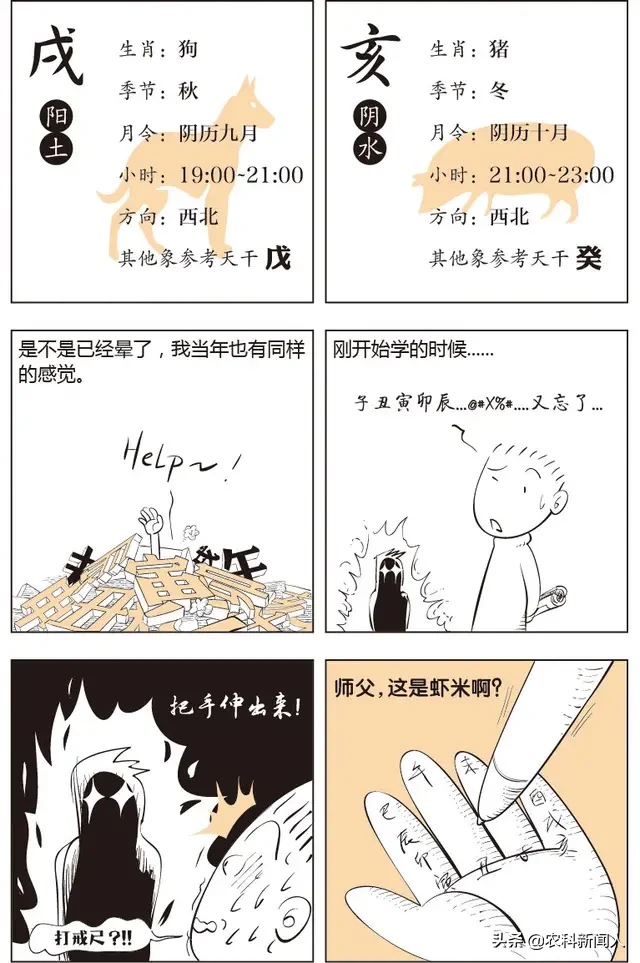 漫画易经命理基础知识三，天干地支