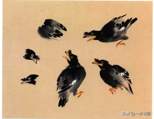 一学就会画——小写意禽鸟画法