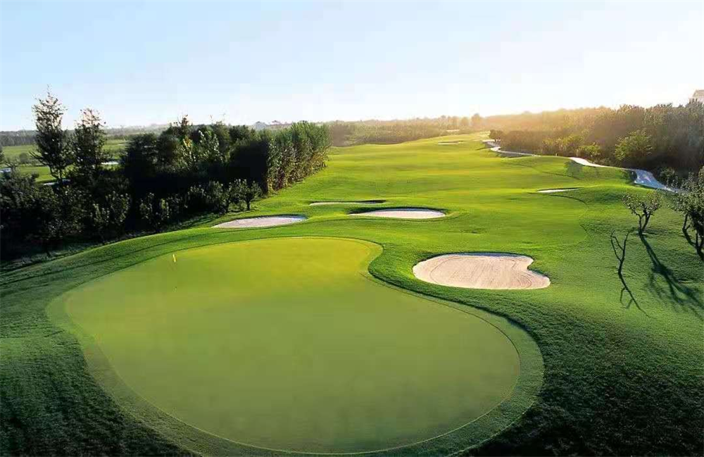 家庭条件一般的学生，大学里别碰这四个“社团”，后期超费钱