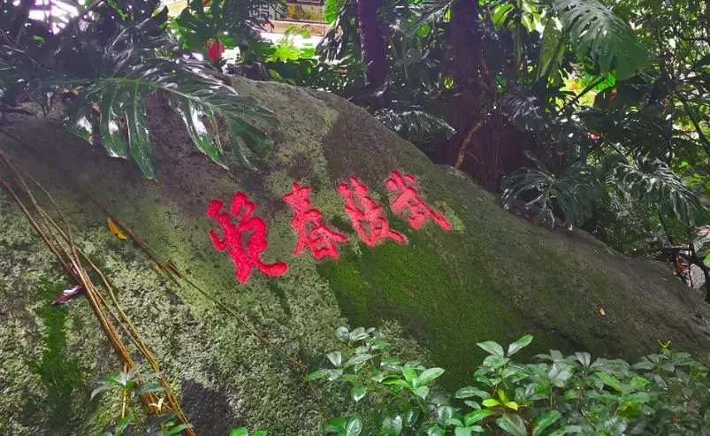 黄龙古观:罗浮山中隐修地,青云初显见天华