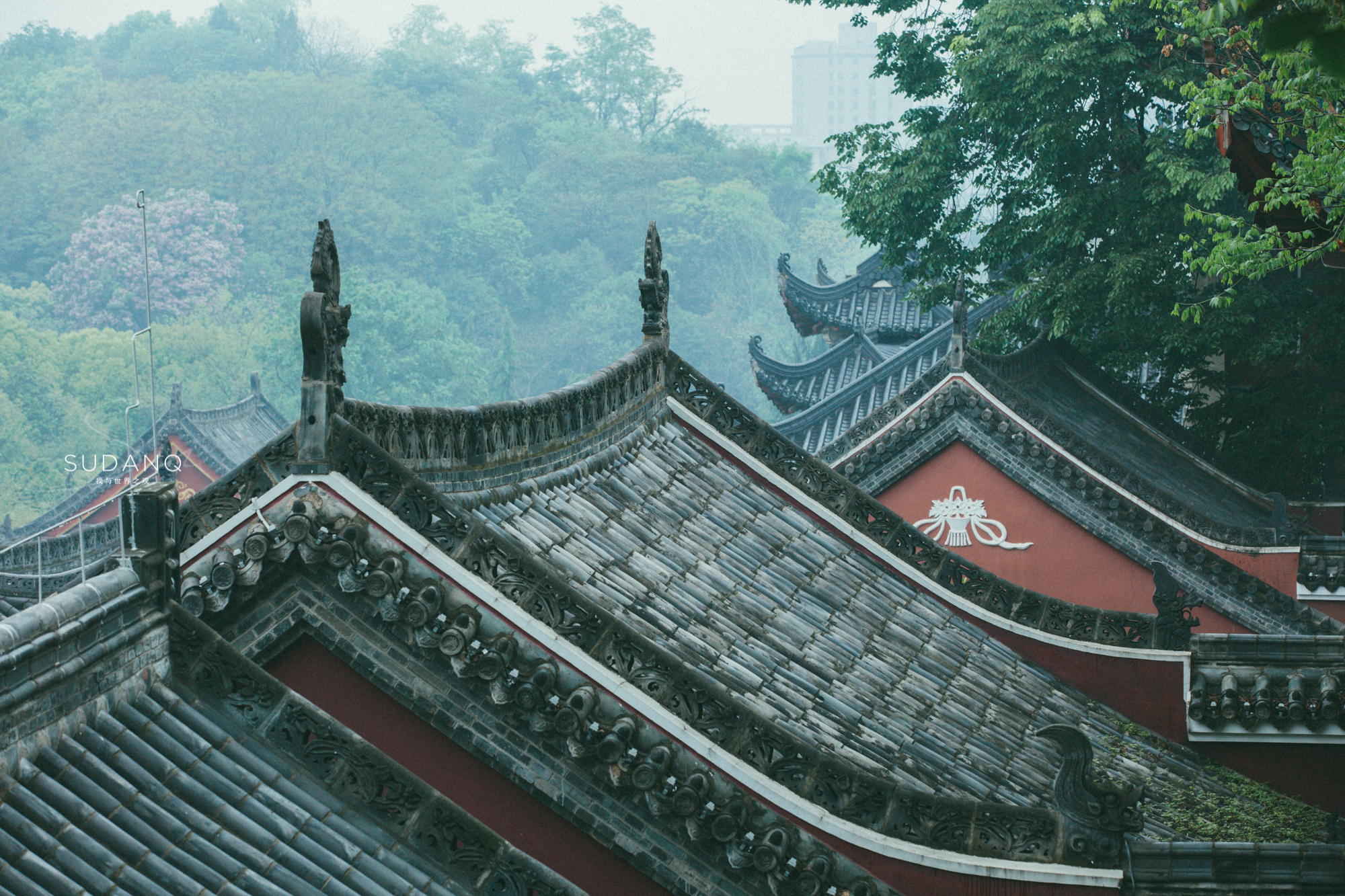 被誉为"闹市中的清静福地",常使人穿梭于历史与现代文明之间,道观内的