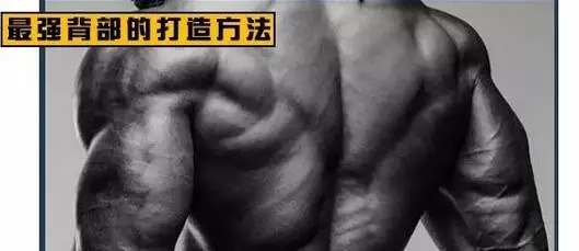 引體向上不會用上背部發力？你需要這個動作