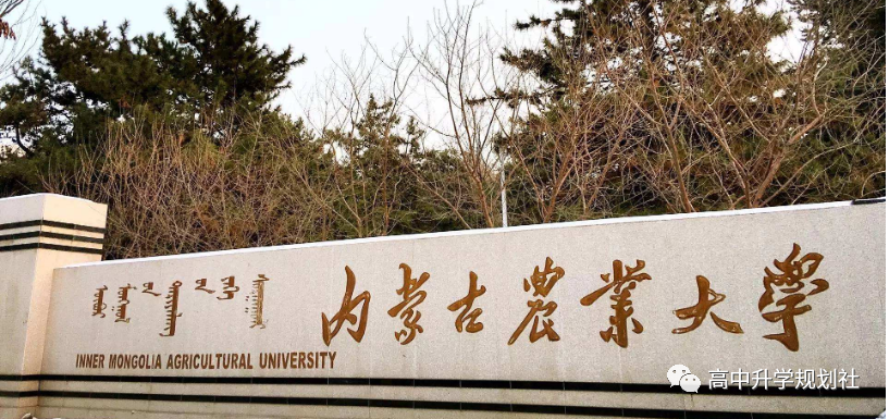 D55：内蒙也有厉害的大学，志愿填报时可以重点关注