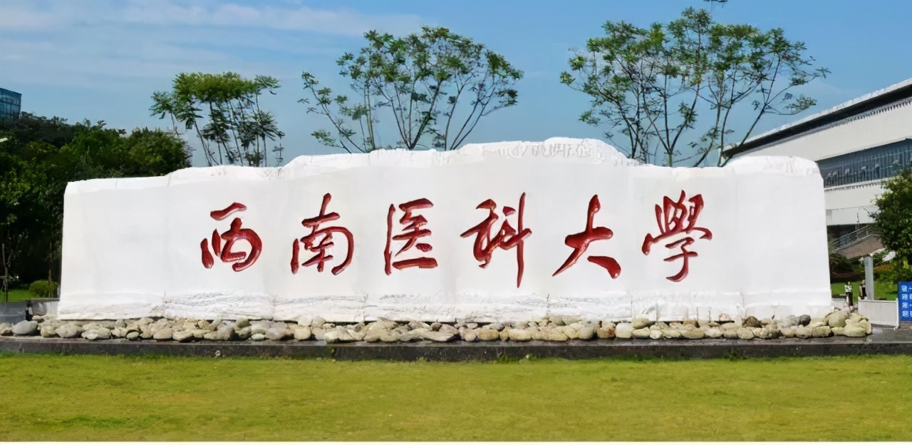 “西南”开头的9所高校，四川6所，云南1所，重庆2所