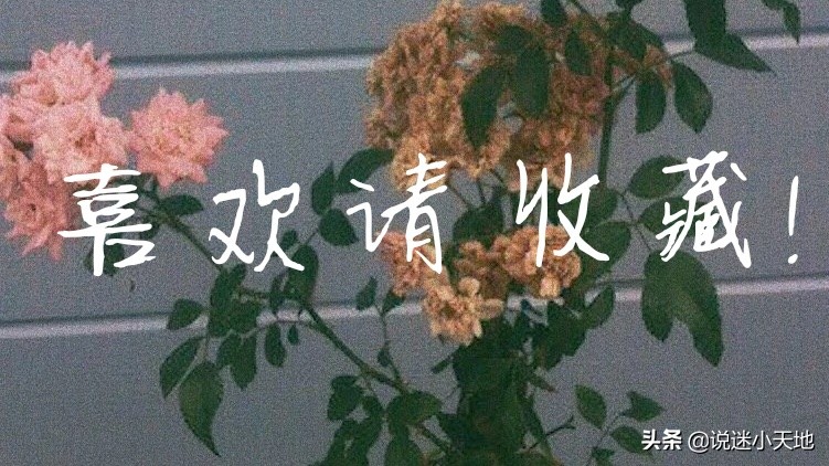 我会去找你，不远万里，不问归期｜治愈暖文《春莺来信》