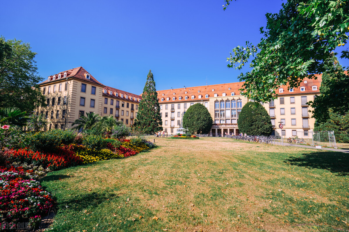 职业学校乱收费，是否普遍存在？您有经历过乱收费吗？