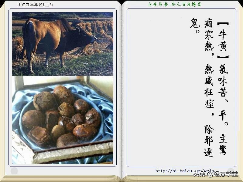 《神农本草经》全册图文解析 建议收藏