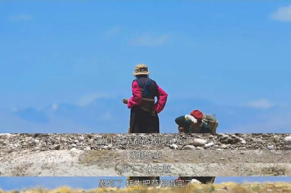 宅家不开心的城市人，都该看看这部神级国产纪录片
