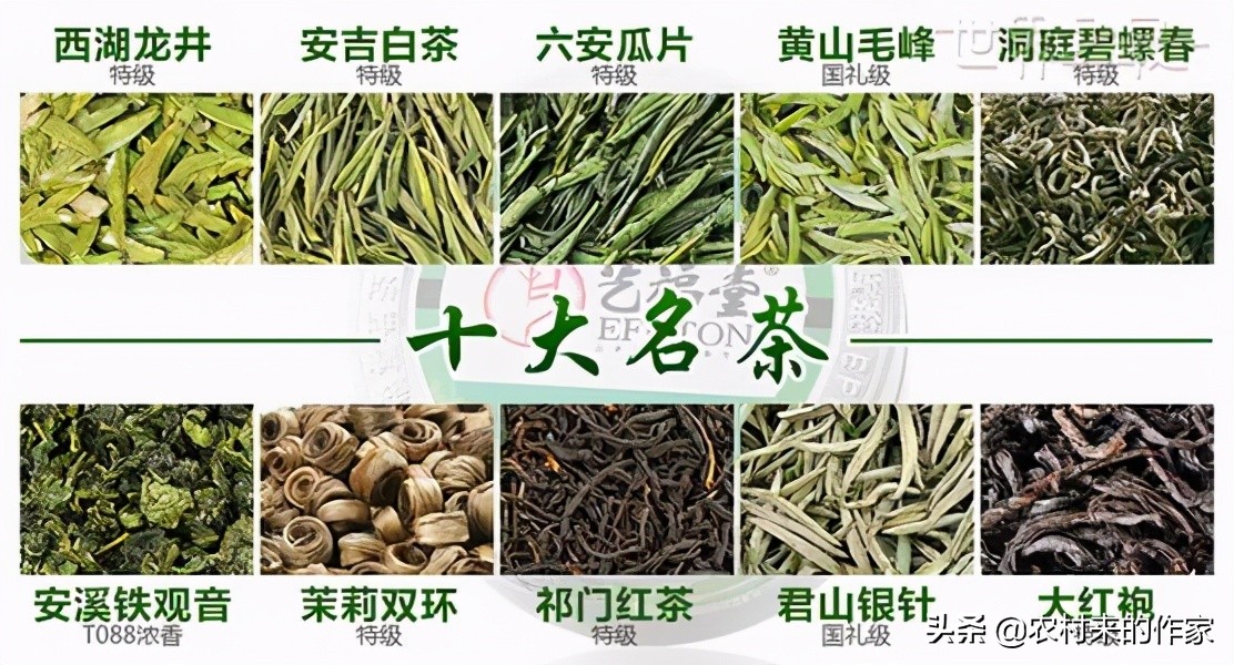安徽出名茶，你知道中国十大名茶中，安徽茶叶就占据多少吗？