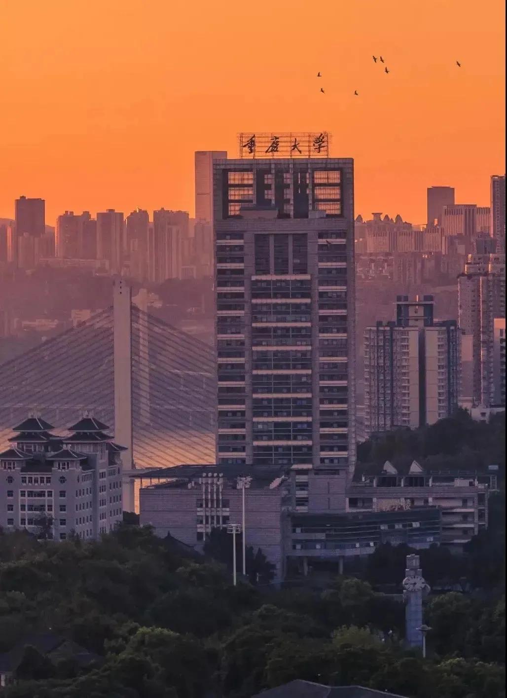 @准研究生们，重庆大学录取通知书已向你奔赴而来