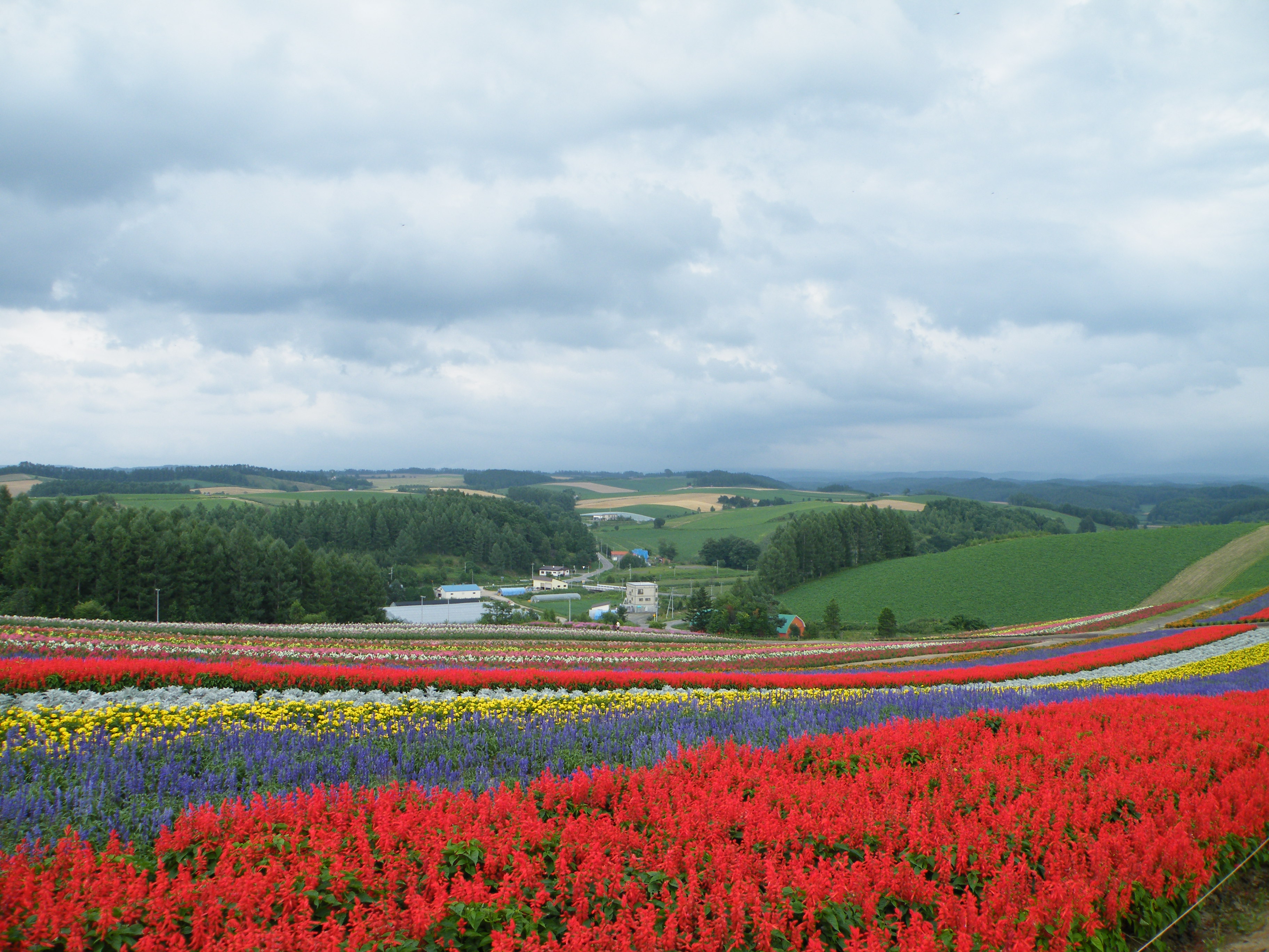 日本北海道省錢攻略:穿過世界第一長的海底鐵路隧道去彼岸尋花