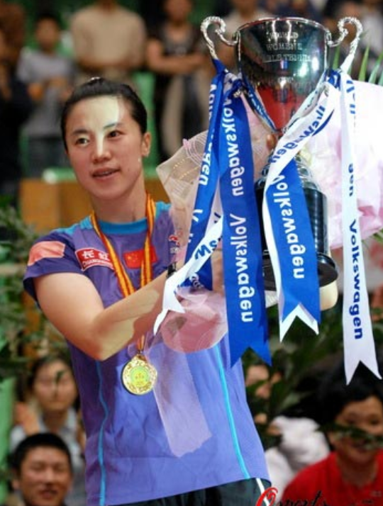 王楠个人资料介绍(王楠的风雨人生:患癌12年,富豪老公不离不弃)