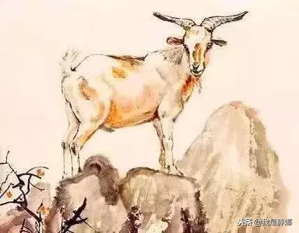 爱情海枯石烂,彼此之间生活幸福长久的三大属相!