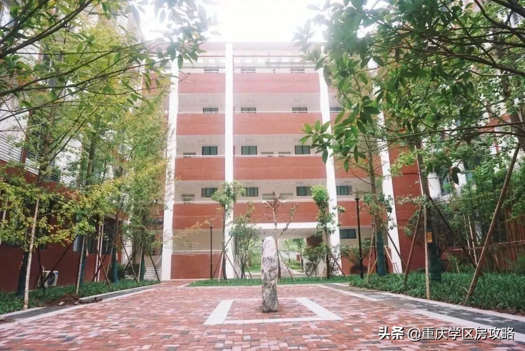 南岸区优质初中（上）