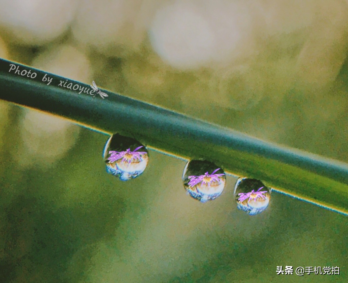 普通身边景，手机拍出新感觉｜教你5招拍好“镜像”画面