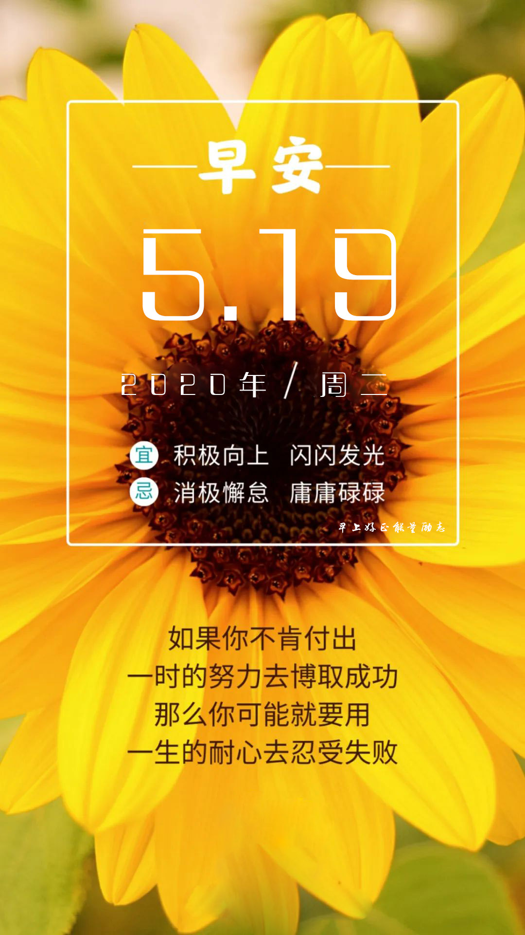 早安心语正能量图片日签加字：努力做个温暖的人，用微笑去迎接阳光