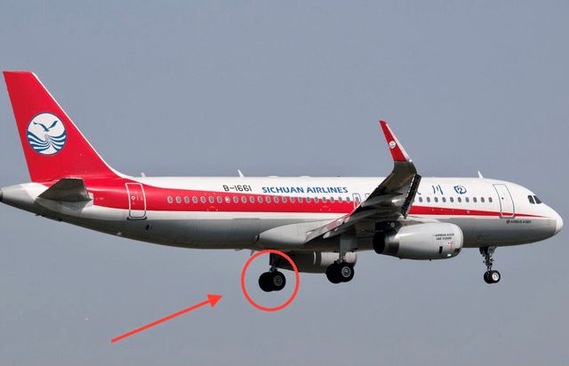 2004年，两少年扒上飞机起落架：一个被风吹下飞机，一个艰难幸存