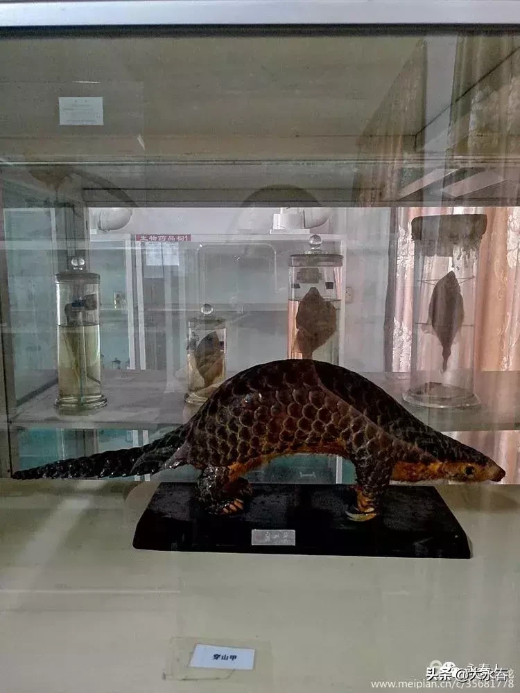 美哉！我们的永春三中