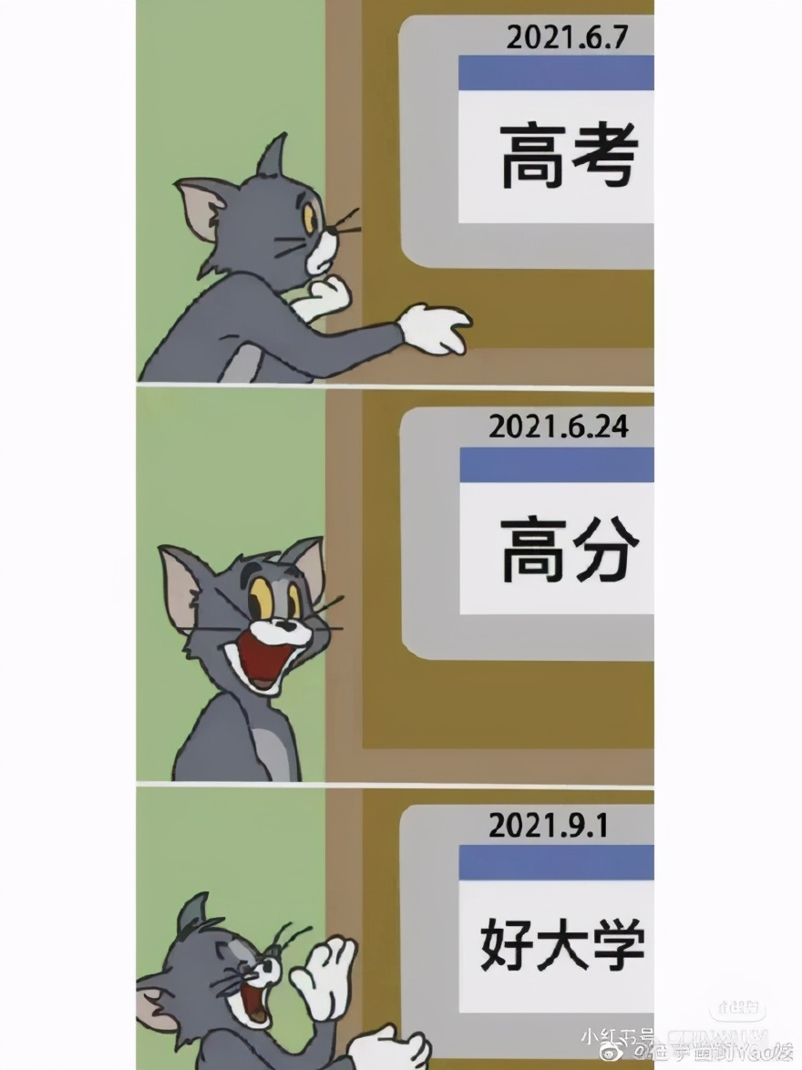 湖北2021高考460分能上什么大学(物理历史类)？