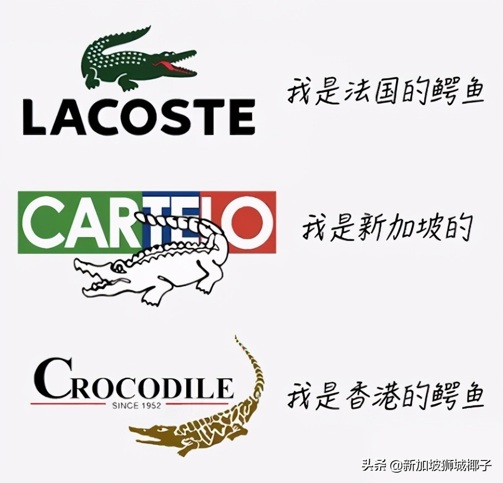 卡帝乐鳄鱼是哪个国家的品牌（卡帝乐鳄鱼是什么牌子的）-第30张图片-华展网