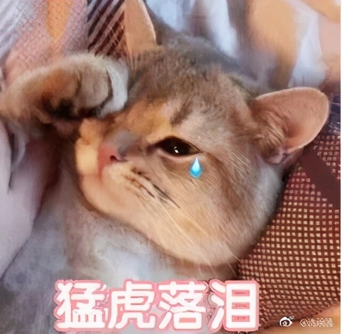 少儿意外险怎么买？有哪些推荐？哪个好？看这篇就够了