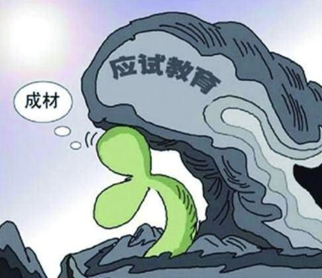 高考状元，缘何20年杳无音信