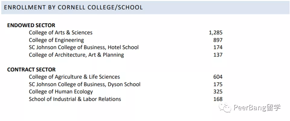 藤校学生「最爱专业」曝光！为什么大部分人都选了文科？
