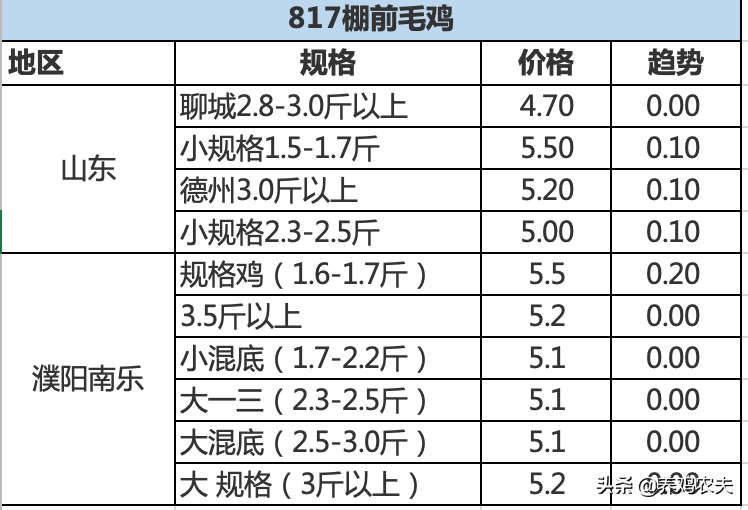 3月31日毛鸡与鸡苗报价，鸡苗涨势重燃，你选择补栏还是观望？