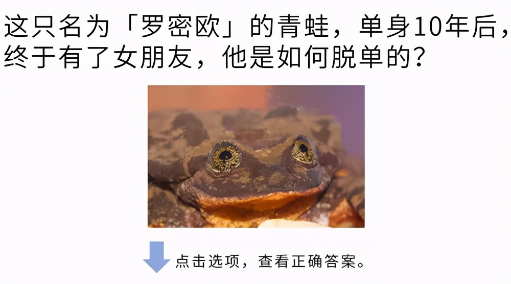 高考大作战！20道冷门又难解的试题等你来解答