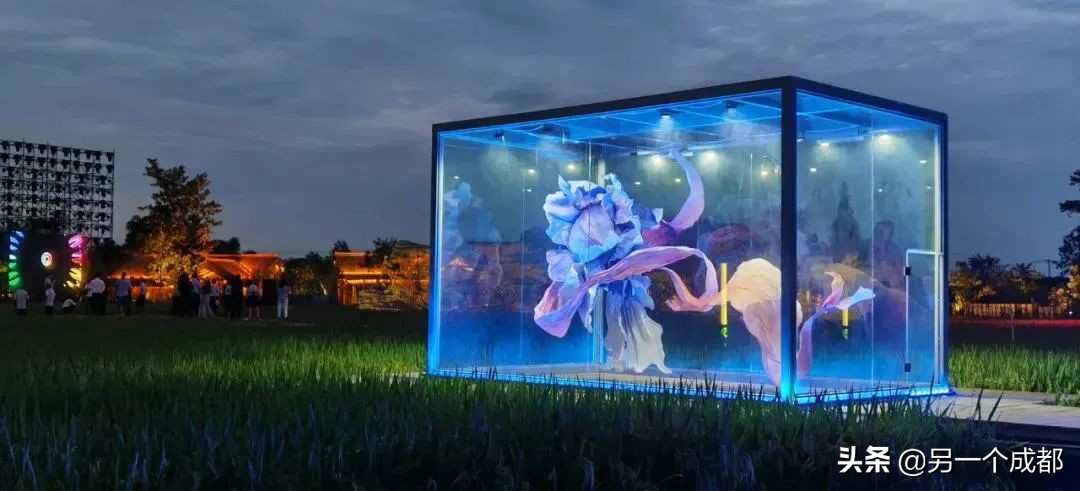 成都本周精选的玩耍活动