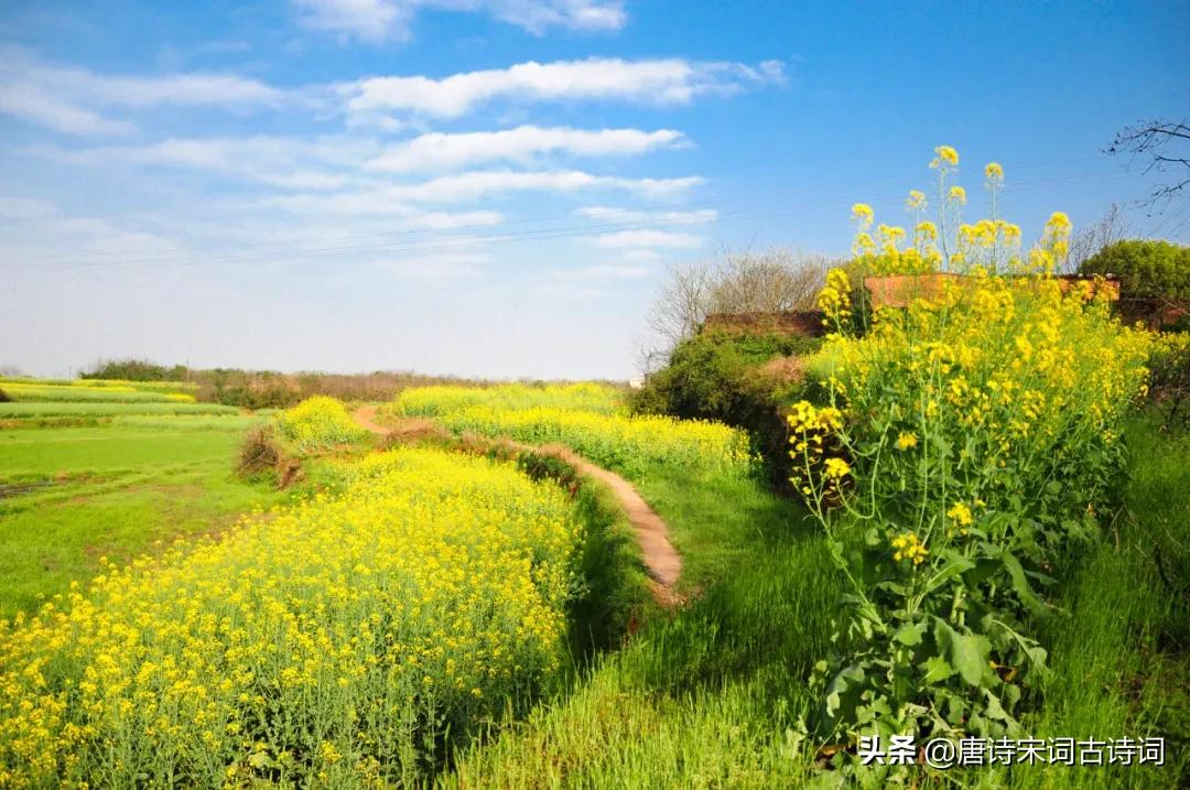 徐志摩《陌上花开》原文:陌上花开,可缓缓归矣什么意思?-第4张图片-专升本网 徐志摩《陌上花开》原文:陌上花开,可缓缓归矣什么意思?-第4张图片-专升本网