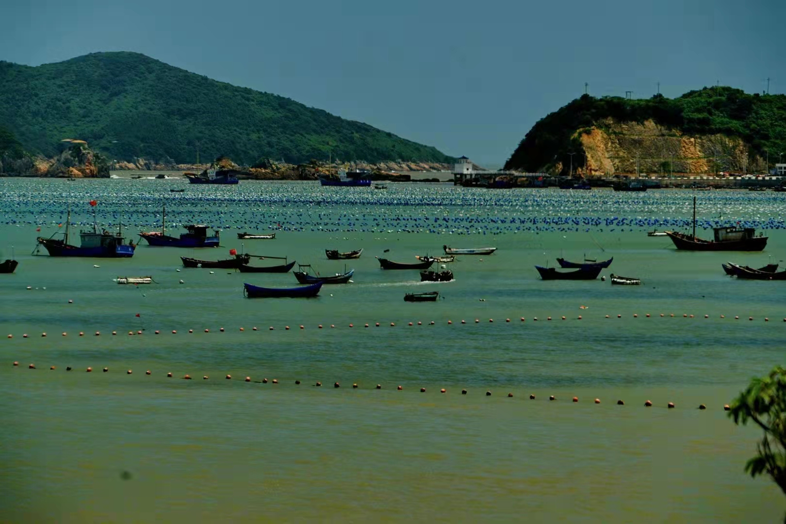 去过最多的就是被誉为"东方夏威夷"的渔寮了,这是温州人家门口的沙滩