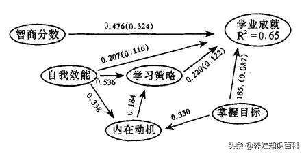 北大院长：智商没110，别幻想考北大！科学：智商与成绩关系不大