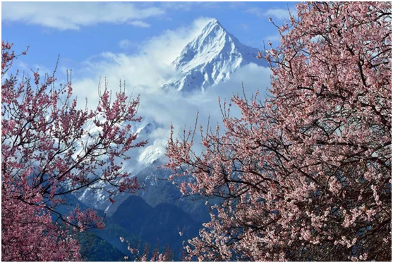 說說你去林芝旅遊是什麼體驗?