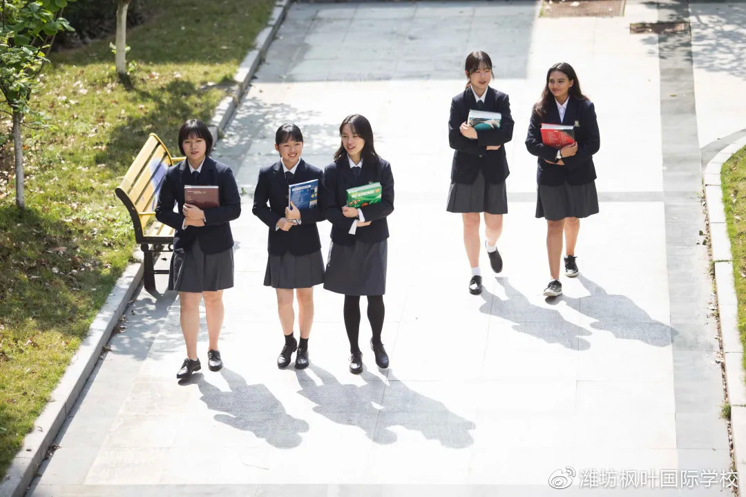 毕业后，他们还好吗？「选择枫叶高中系列之一」