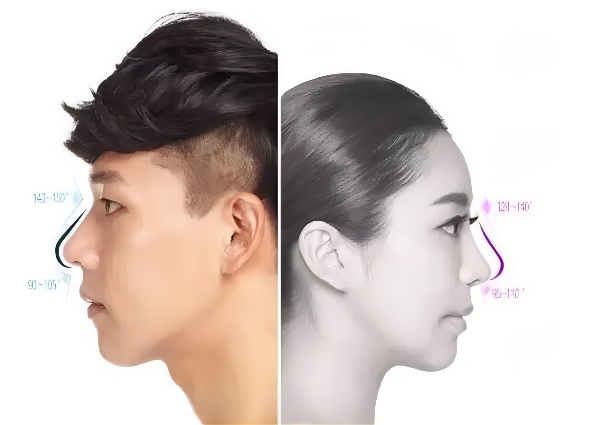 男女隆鼻的相同与差异，体现在哪些方面