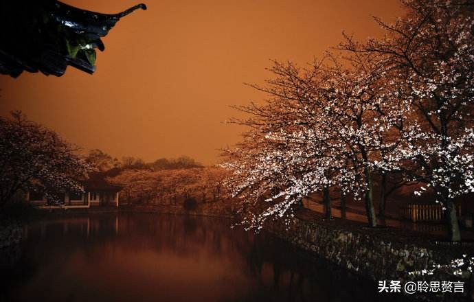 昨夜诗词精选三十四首 昨夜星辰昨夜风，画楼西畔桂堂东